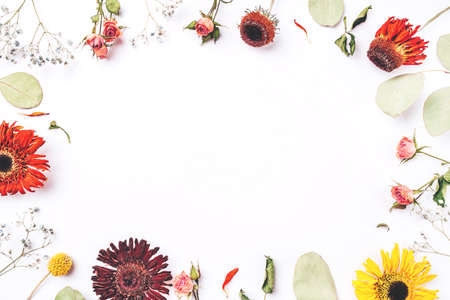 Frame of dry flowers on white background. Flat lay, top view. Copy space for text.の写真素材