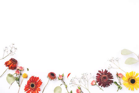 Frame of dry flowers on white background. Flat lay, top view. Copy space for text.の写真素材