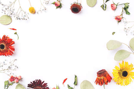 Frame of dry flowers on white background. Flat lay, top view. Copy space for text.の写真素材