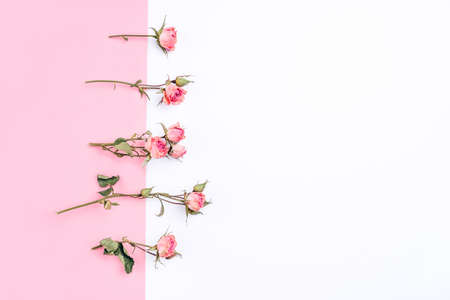Frame of dried rose flowers on white and pink background. Flat lay, top view. Copy space for text.の写真素材
