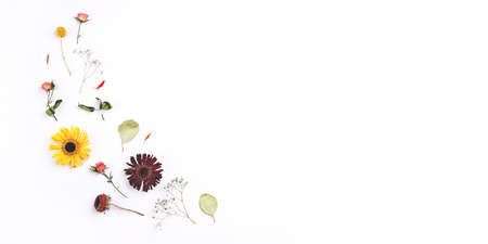 Composition of dry flowers on white background. Flat lay, top view. Copy space for text.の写真素材