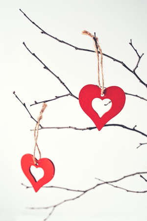 Decoration for Valentines Day with ornaments in the form of hearts on a branch.の写真素材