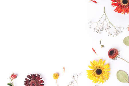 Frame of dry flowers on white background. Flat lay, top view. Copy space for text.
