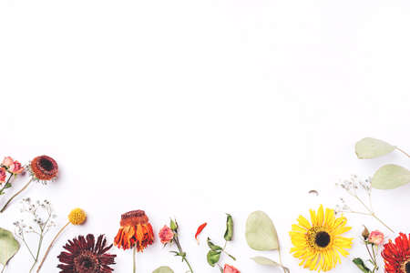 Frame of dry flowers on white background. Flat lay, top view. Copy space for text.の写真素材