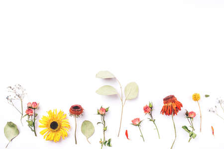 Frame of dry flowers on white background. Flat lay, top view. Copy space for text.の写真素材