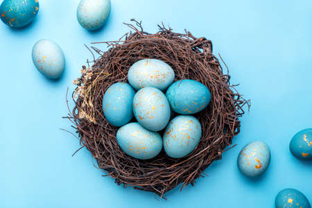 Easter eggs in nest on blue background. Flat lay, top view.の写真素材