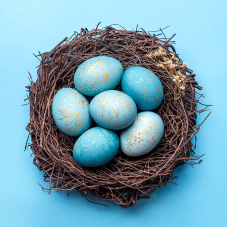 Easter eggs in nest on blue background. Flat lay, top view.の写真素材