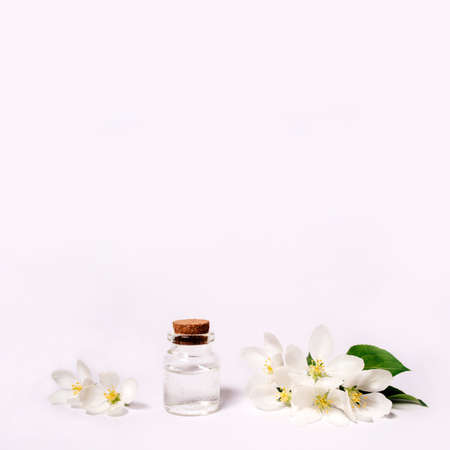 Spa natural cosmetic concept. White background with copy space for text.の写真素材