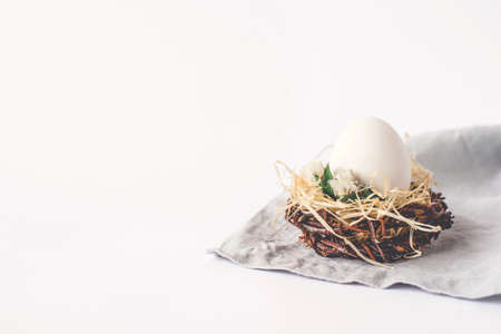 Light Easter background with an egg in the nest. Copy space for your text.の写真素材