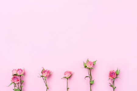 Dried rose flowers on pink background. Flat lay, top view. Copy space for text.の写真素材