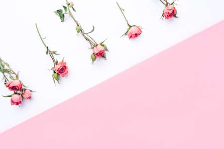 Frame of dried rose flowers on white and pink background. Flat lay, top view. Copy space for text.の写真素材