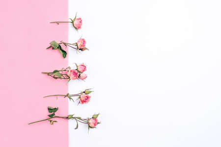 Frame of dried rose flowers on white and pink background. Flat lay, top view. Copy space for text.の写真素材