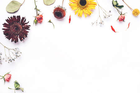 Frame of dry flowers on white background. Flat lay, top view. Copy space for text.の写真素材