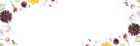 Frame of dry flowers on white background. Flat lay, top view. Copy space for text.の写真素材