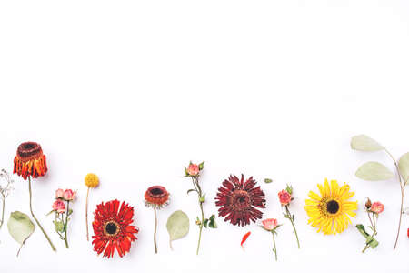 Frame of dry flowers on white background. Flat lay, top view. Copy space for text.の写真素材