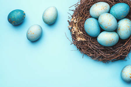 Easter eggs in nest on blue background. Flat lay, top view.の写真素材
