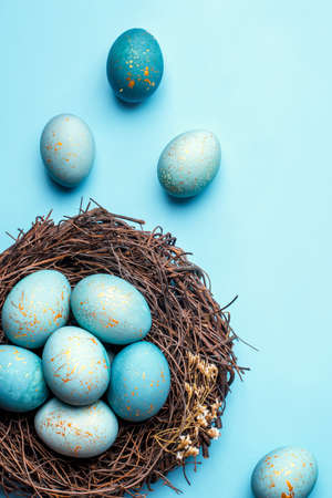 Easter eggs in nest on blue background. Flat lay, top view.の写真素材