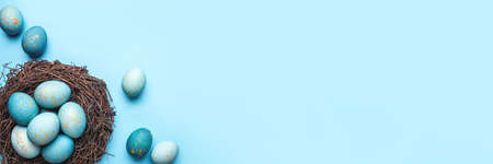 Easter eggs in nest on blue background. Flat lay, top view.の写真素材