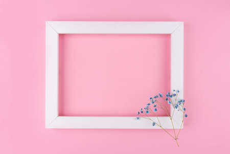 White text frame with a blue gypsophila flower on a pink background. Copy space for text.