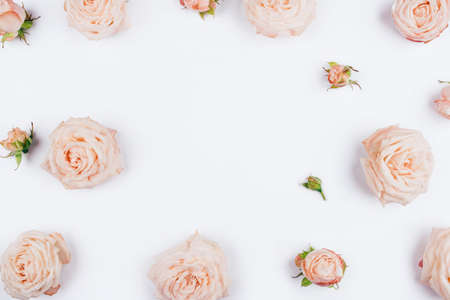 Spring background. Rose flowers on a white background. Flat lay. Copy space for text.の写真素材