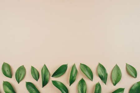 Natural background created from fresh green leaves. Flat lay. Nature concept.の写真素材