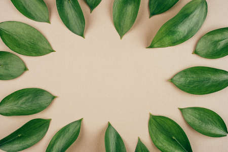 Natural background created from fresh green leaves. Flat lay. Nature concept.の写真素材