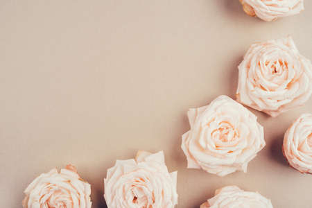 Spring background. Rose flowers on a beige background. Flat lay. Copy space for your text.の写真素材