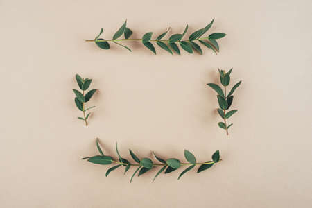 Green eucalyptus branches on a beige background. Flat lay, top view.