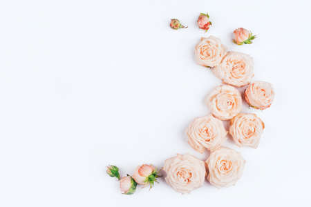 Spring background. Rose flowers on a white background. Flat lay. Copy space for your text.の写真素材