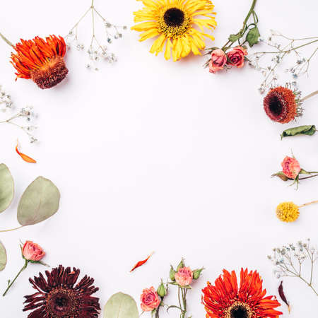 Frame of dry flowers on white background. Flat lay, top view. Copy space for text.の写真素材