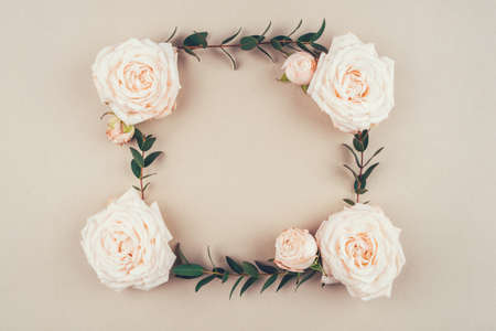 Spring background. Frame of rose flowers and eucalyptus branches on a beige background. Flat lay. Copy space for your text.の写真素材