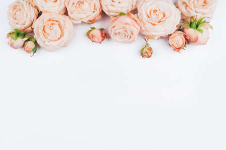 Spring background. Rose flowers on a white background. Flat lay. Copy space for your text.の写真素材