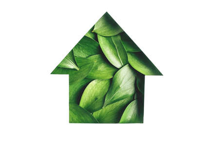 Fresh green leaves shaped in house isolated on white background. Medical, eco or pandemic concept.の写真素材