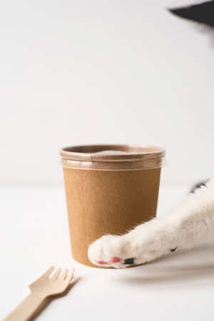 A disposable container and a wooden fork. Food delivery concept.の写真素材