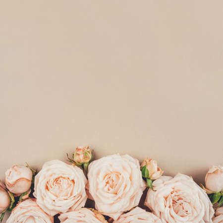 Spring background. Rose flowers on a beige background. Flat lay. Copy space for your text.の写真素材