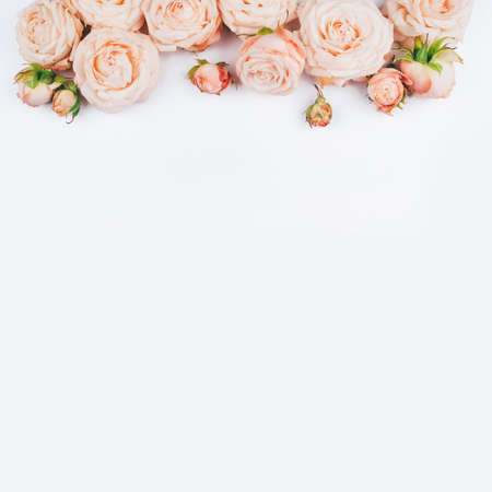Spring background. Rose flowers on a white background. Flat lay. Copy space for your text.の写真素材