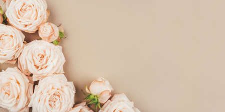 Spring background. Rose flowers on a beige background. Flat lay. Copy space for your text.の写真素材