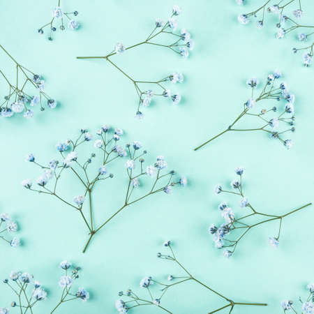 Beautiful flower background of blue gypsophila flowers. Flat lay, top view. Floral pattern.の写真素材