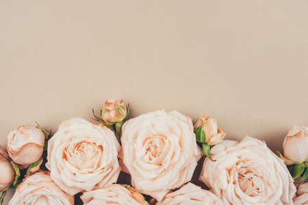 Spring background. Rose flowers on a beige background. Flat lay. Copy space for your text.の写真素材