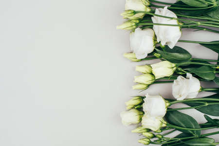 Fresh white flowers on a grey pastel background. Spring minimal concept.の写真素材