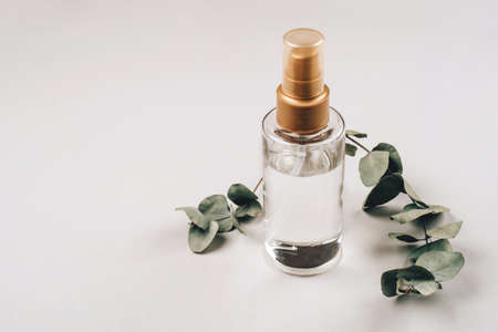 A bottle with a cosmetic product for skin care. Natural ingredients, eucalyptus. The concept of natural cosmetics.の写真素材