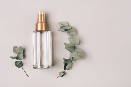 A bottle with a cosmetic product for skin care. Natural ingredients, eucalyptus. The concept of natural cosmetics.の写真素材