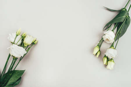 Fresh white flowers on a grey pastel background. Spring minimal concept. Copy space for text.の写真素材