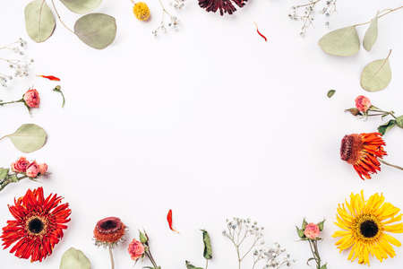 Frame of dry flowers on white background. Flat lay, top view. Copy space for text.の写真素材