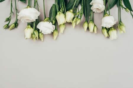 Fresh white flowers on a grey pastel background. Spring minimal concept.の写真素材