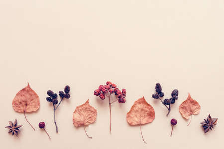 Autumn pastel background made of leaves, berries and spices. Flat lay, top view. Copy space for...