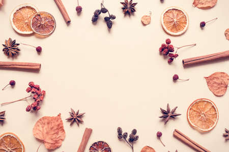 Autumn pastel background made of leaves, berries and spices. Flat lay, top view. Copy space for text.の写真素材