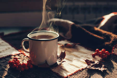 Hot steaming cup of coffee or tea with fall leaves and spices on a warm plaid on a bright Sunny day. Autumn mood. Front view.の写真素材