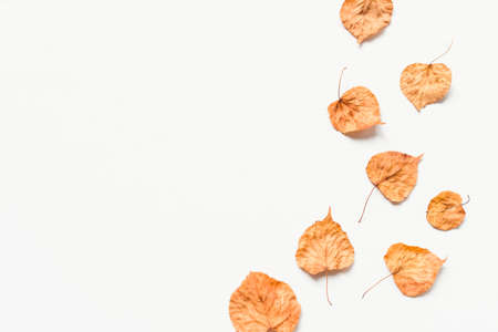 Autumn  made of dry yellow leaves.の写真素材