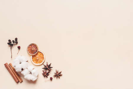 Autumn pastel background made of oranges, berries and spices. Flat lay, top view. Copy space for text.の写真素材